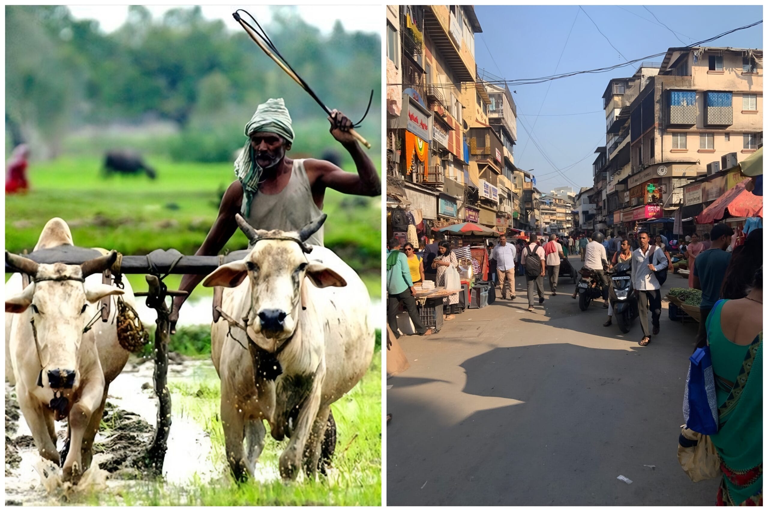 Village vs. City: A Comparative Exploration of Lifestyle Choices